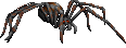blood-spider-anim.gif (5360 bytes)