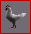 redneck-chicken.gif (2053 bytes)