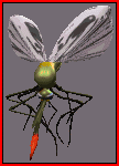 redneck-mosquito.gif (4848 bytes)